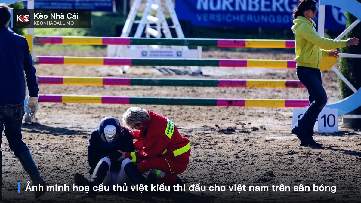 Ảnh minh hoạ cầu thủ việt kiều thi đấu cho việt nam trên sân bóng