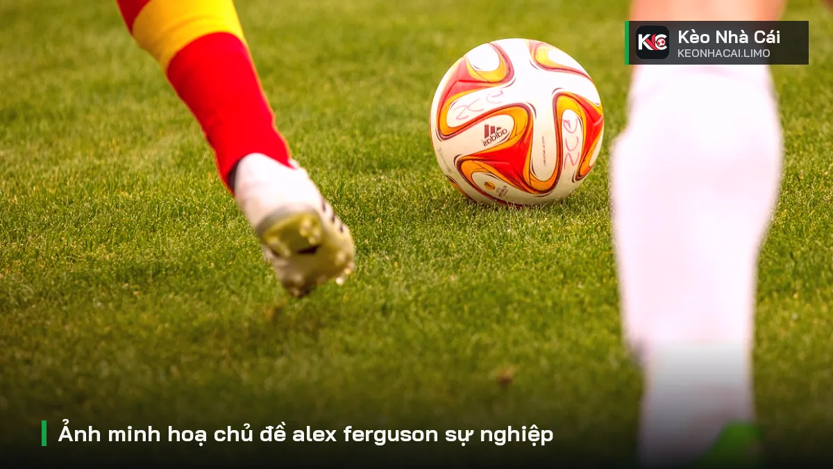Ảnh minh hoạ chủ đề alex ferguson sự nghiệp