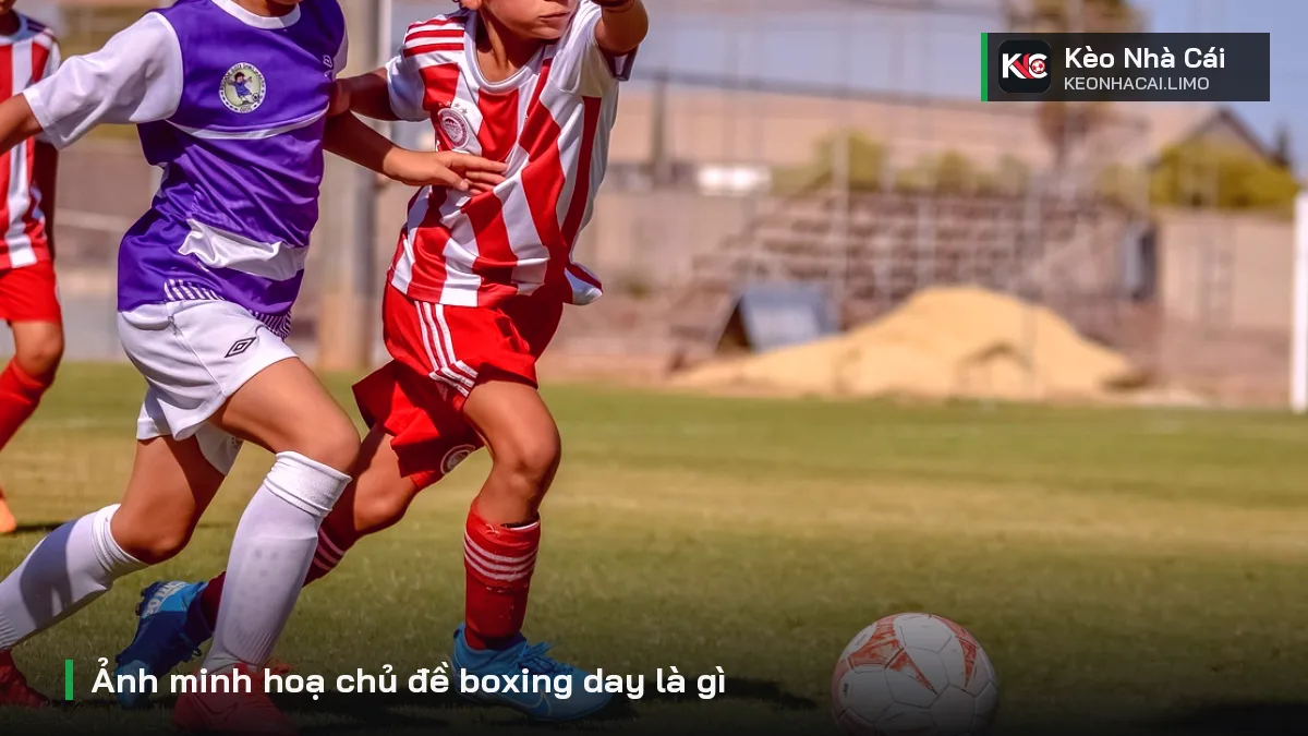 Ảnh minh hoạ chủ đề boxing day là gì