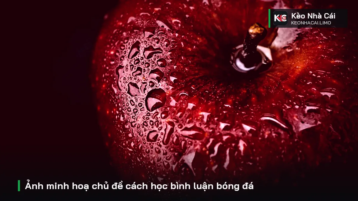 Ảnh minh hoạ chủ đề cách học bình luận bóng đá