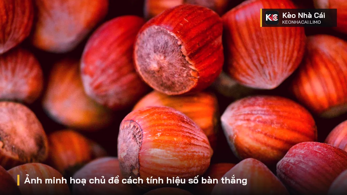Ảnh minh hoạ chủ đề cách tính hiệu số bàn thắng