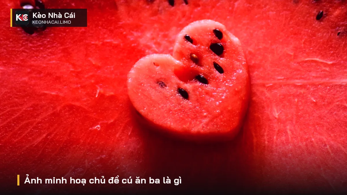 Ảnh minh hoạ chủ đề cú ăn ba là gì