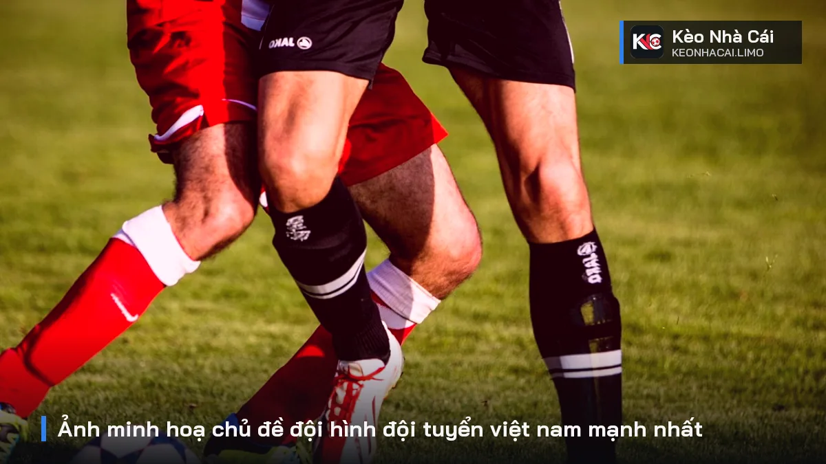 Ảnh minh hoạ chủ đề đội hình đội tuyển việt nam mạnh nhất