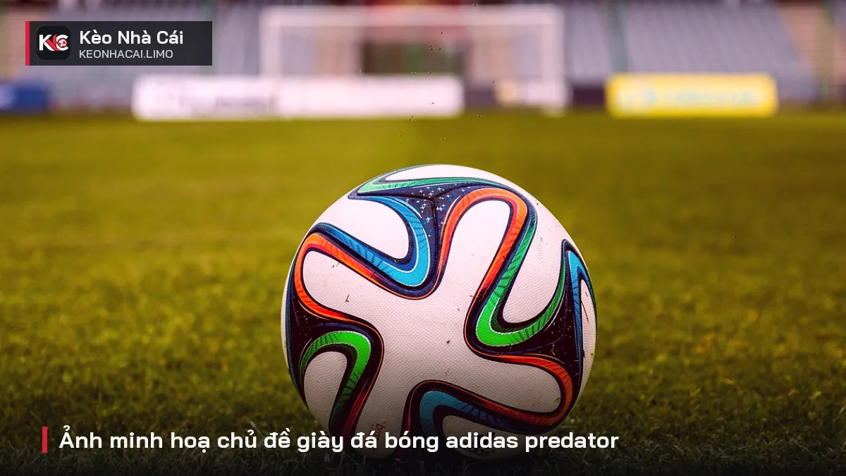 Ảnh minh hoạ chủ đề giày đá bóng adidas predator