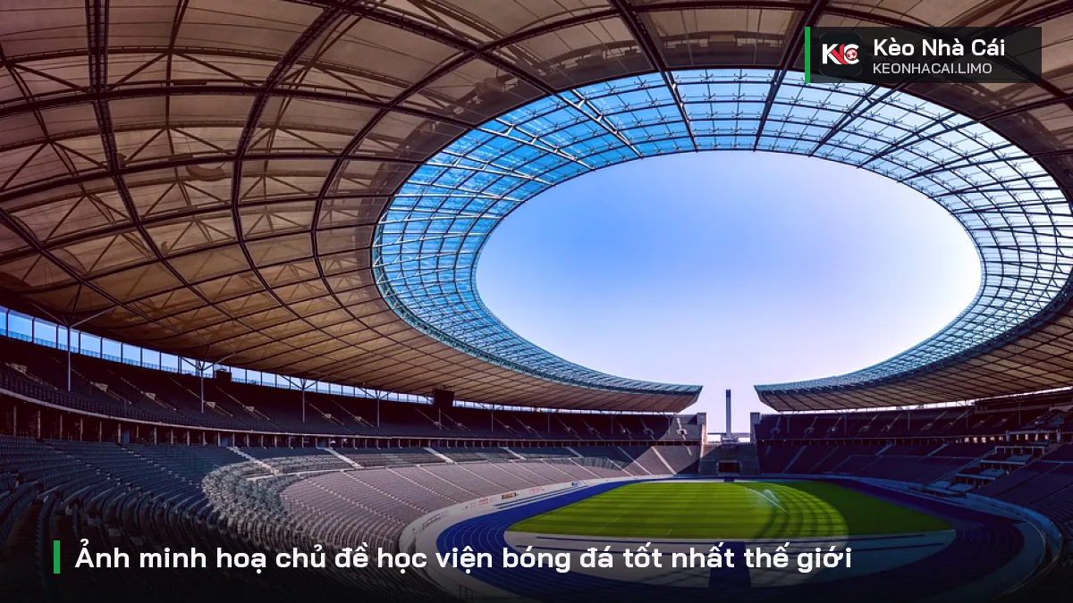 Ảnh minh hoạ chủ đề học viện bóng đá tốt nhất thế giới
