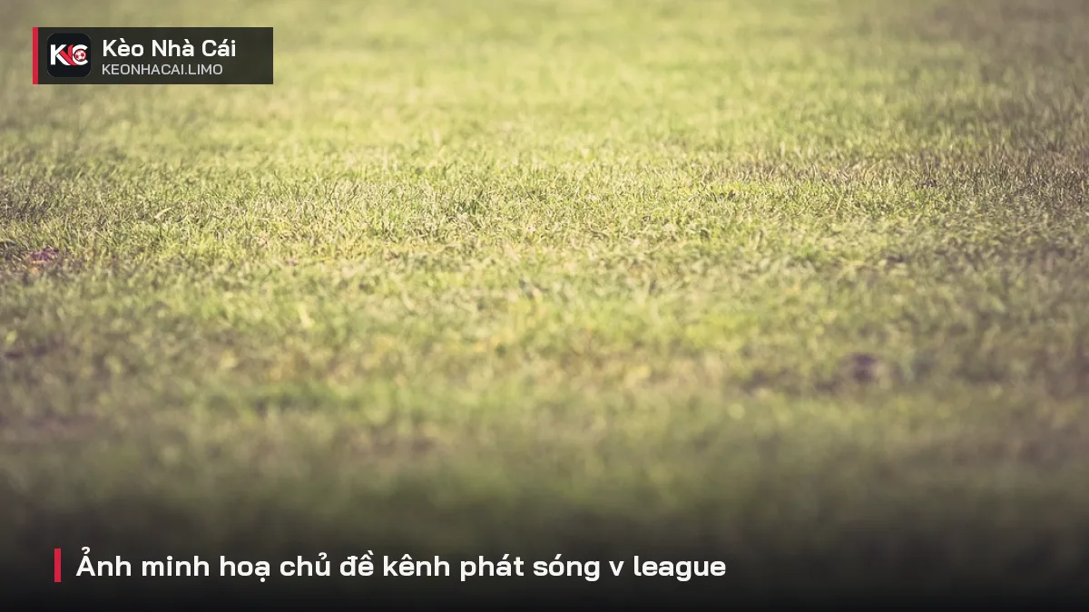 Ảnh minh hoạ chủ đề kênh phát sóng v league