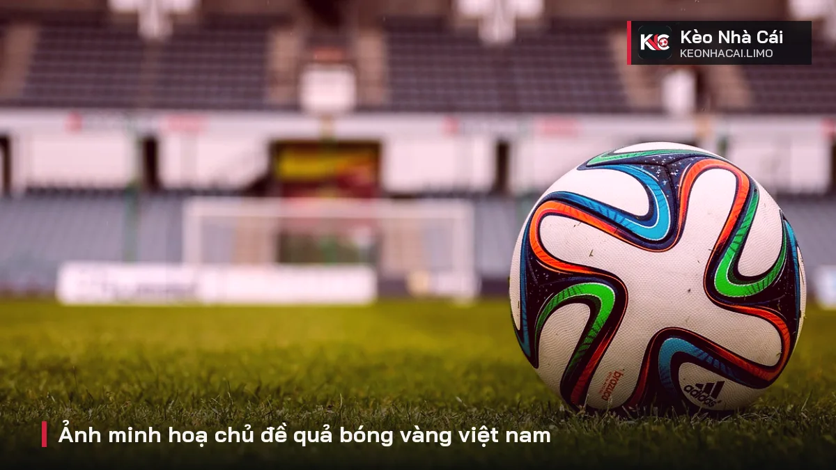 Ảnh minh hoạ chủ đề quả bóng vàng việt nam
