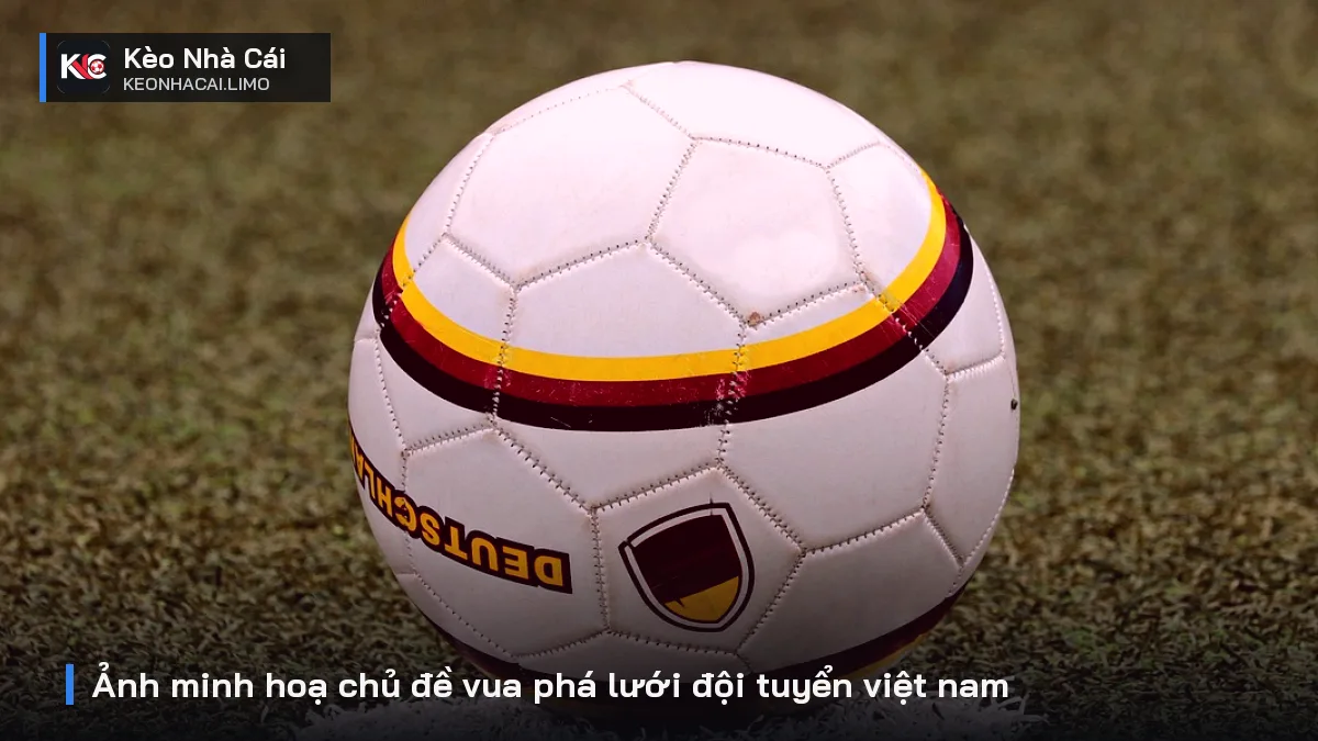Ảnh minh hoạ chủ đề vua phá lưới đội tuyển việt nam
