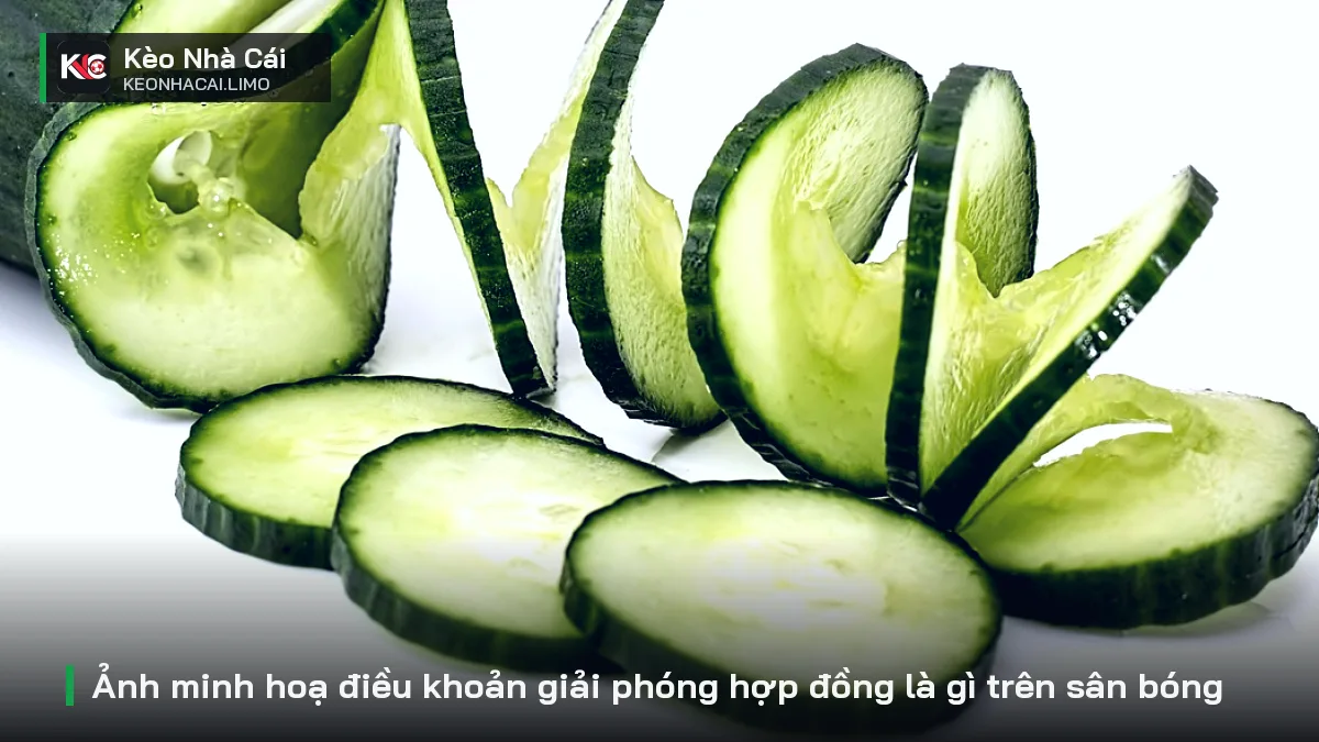 Ảnh minh hoạ điều khoản giải phóng hợp đồng là gì trên sân bóng