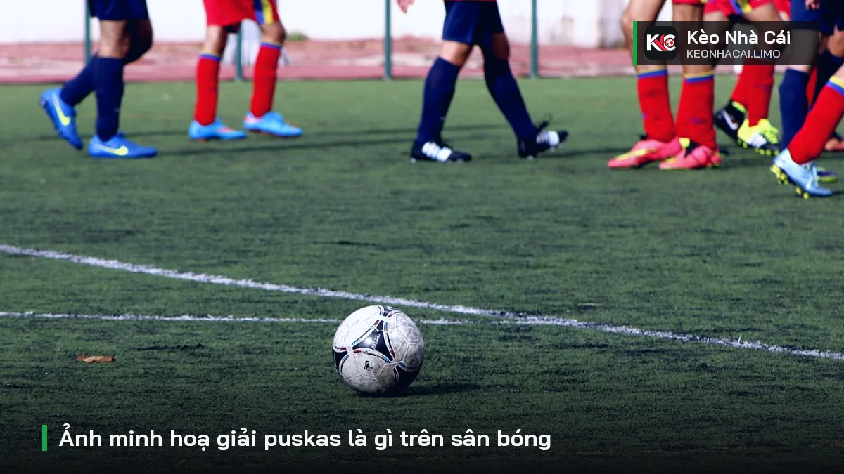 Ảnh minh hoạ giải puskas là gì trên sân bóng