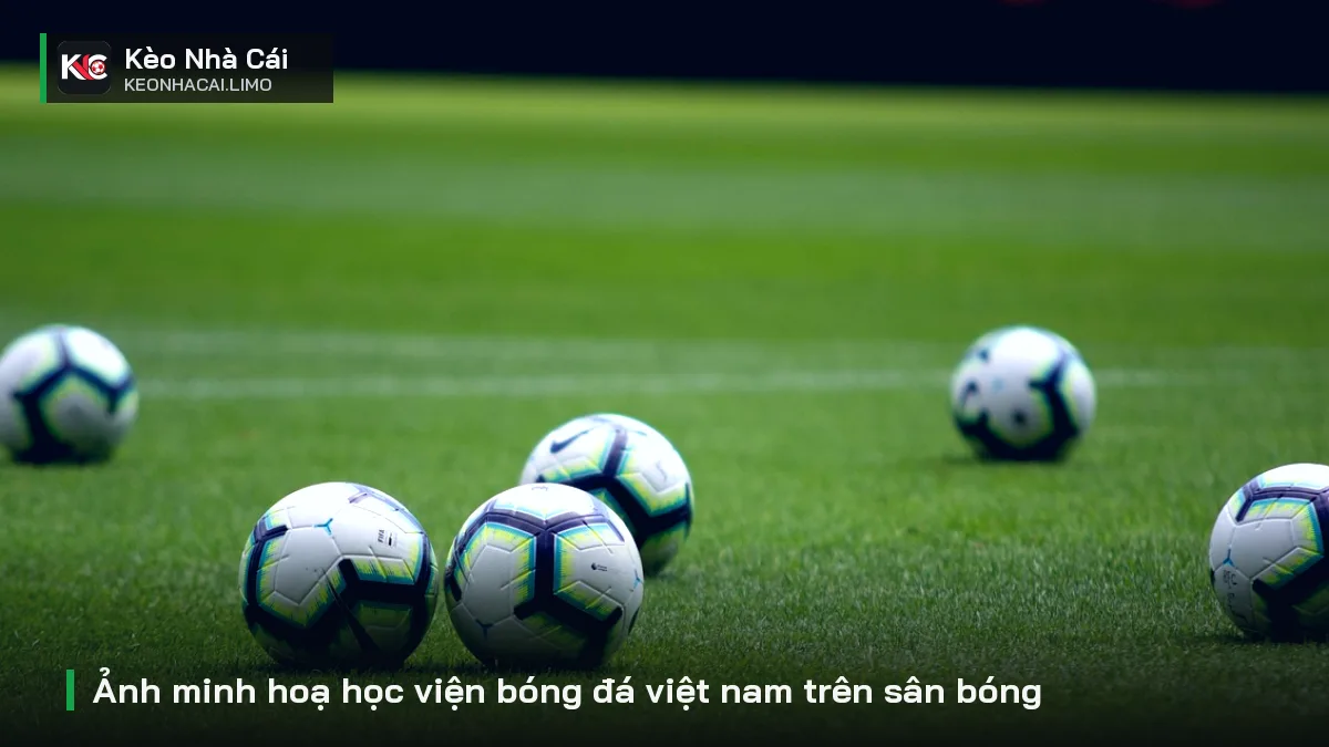 Ảnh minh hoạ học viện bóng đá việt nam trên sân bóng
