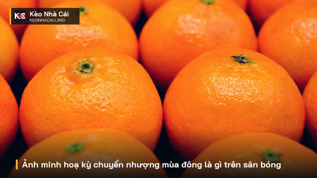 Ảnh minh hoạ kỳ chuyển nhượng mùa đông là gì trên sân bóng