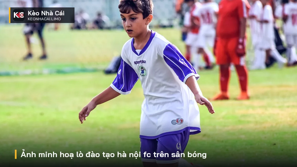 Ảnh minh hoạ lò đào tạo hà nội fc trên sân bóng