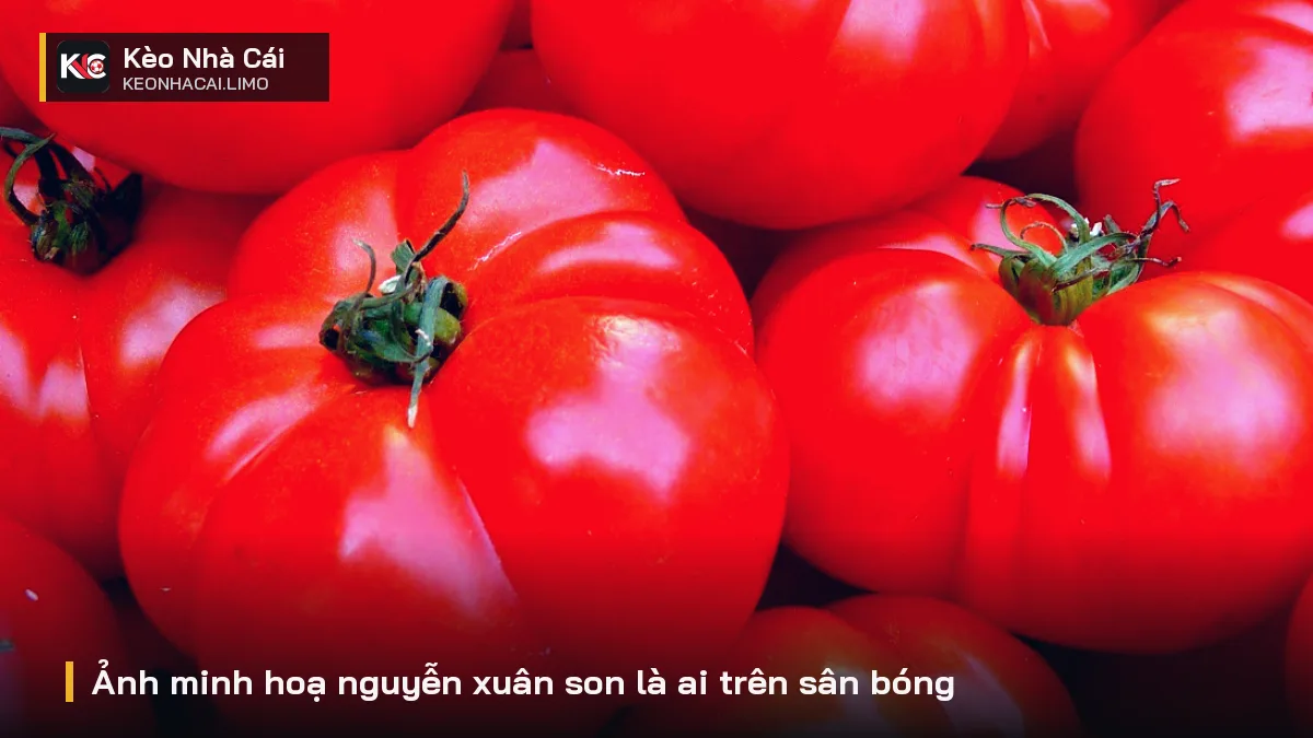 Ảnh minh hoạ nguyễn xuân son là ai trên sân bóng