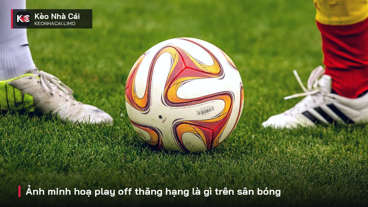 Ảnh minh hoạ play off thăng hạng là gì trên sân bóng