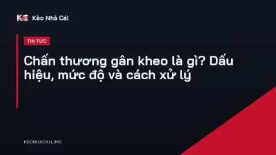 Chấn thương gân kheo là gì? Dấu hiệu, mức độ và cách xử lý