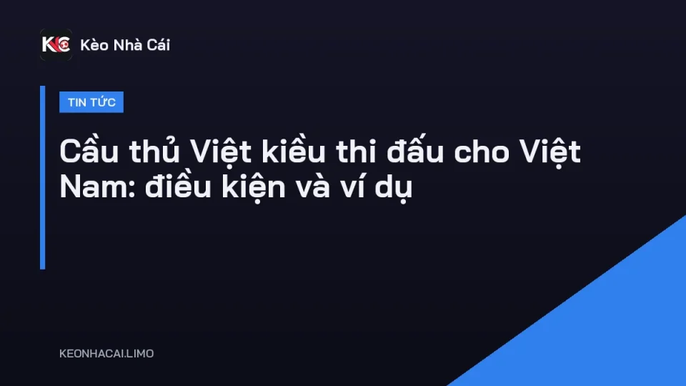 Cầu thủ Việt kiều thi đấu cho Việt Nam trong màu áo đội tuyển quốc gia