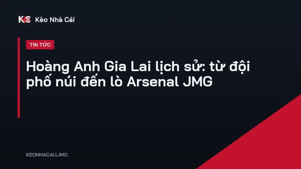 Cổ động viên Hoàng Anh Gia Lai trên khán đài sân Pleiku trong một trận đấu V-League