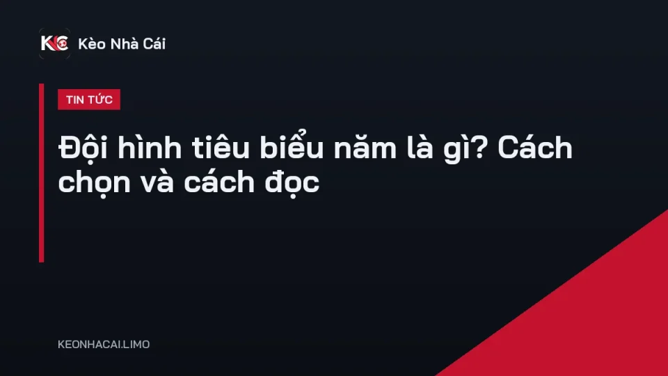 Đội hình tiêu biểu năm gồm 11 cầu thủ xuất sắc nhất xếp theo sơ đồ chiến thuật