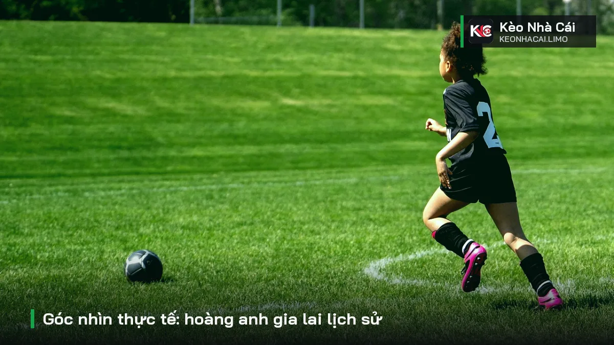 Góc nhìn thực tế: hoàng anh gia lai lịch sử
