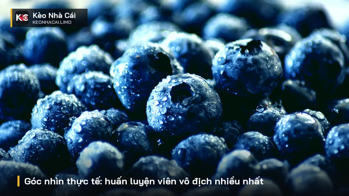 Góc nhìn thực tế: huấn luyện viên vô địch nhiều nhất