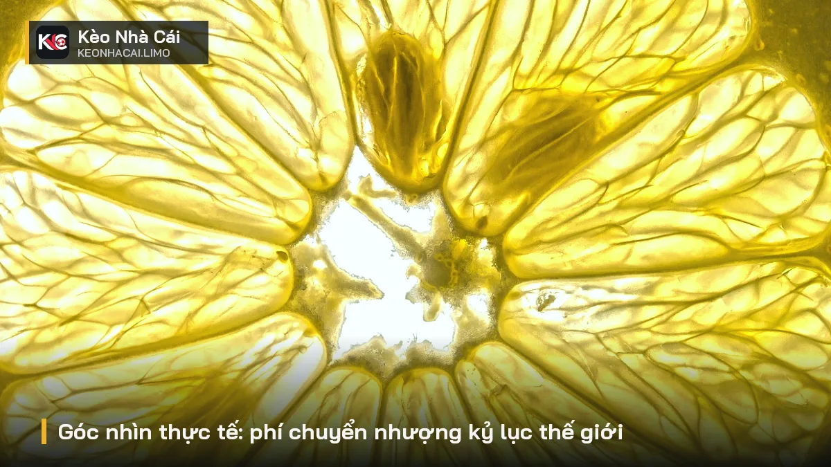 Góc nhìn thực tế: phí chuyển nhượng kỷ lục thế giới