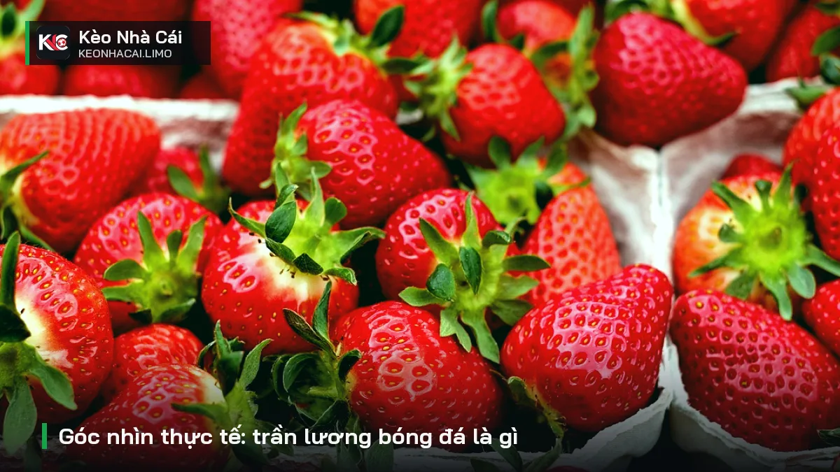 Góc nhìn thực tế: trần lương bóng đá là gì