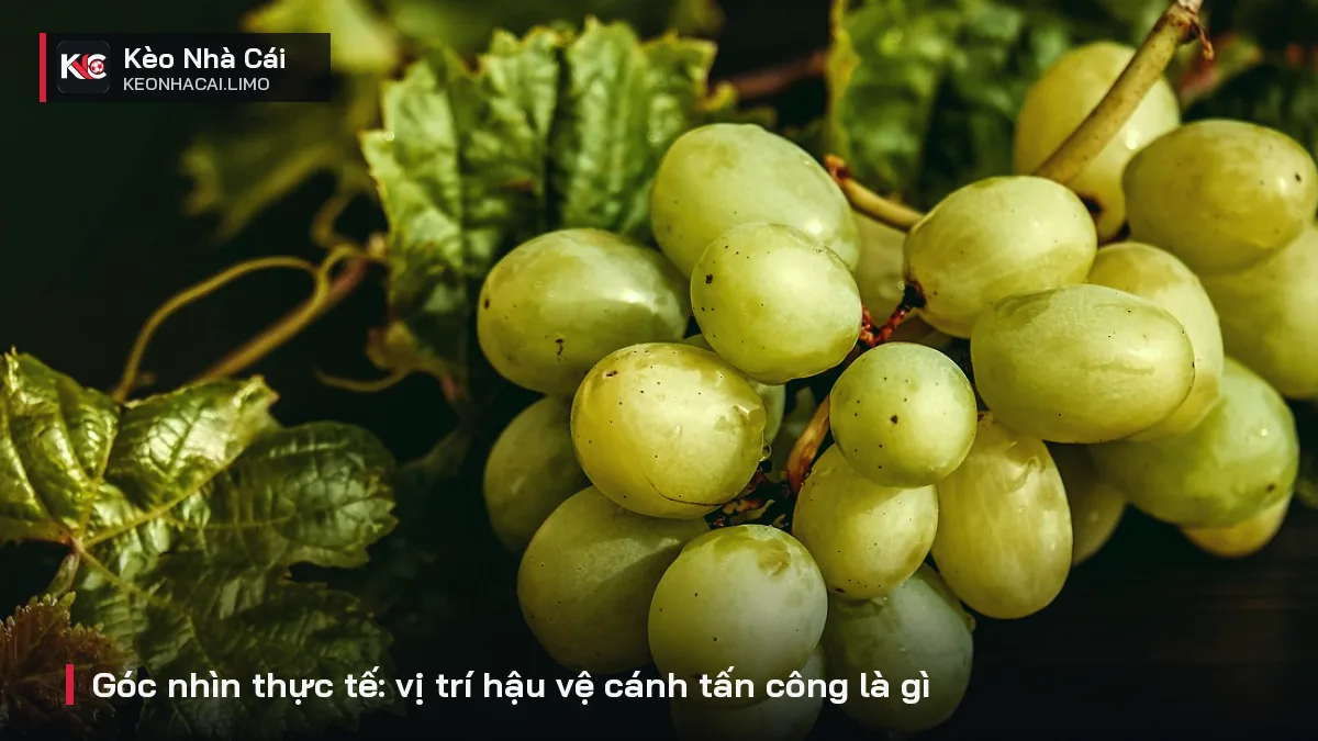 Góc nhìn thực tế: vị trí hậu vệ cánh tấn công là gì