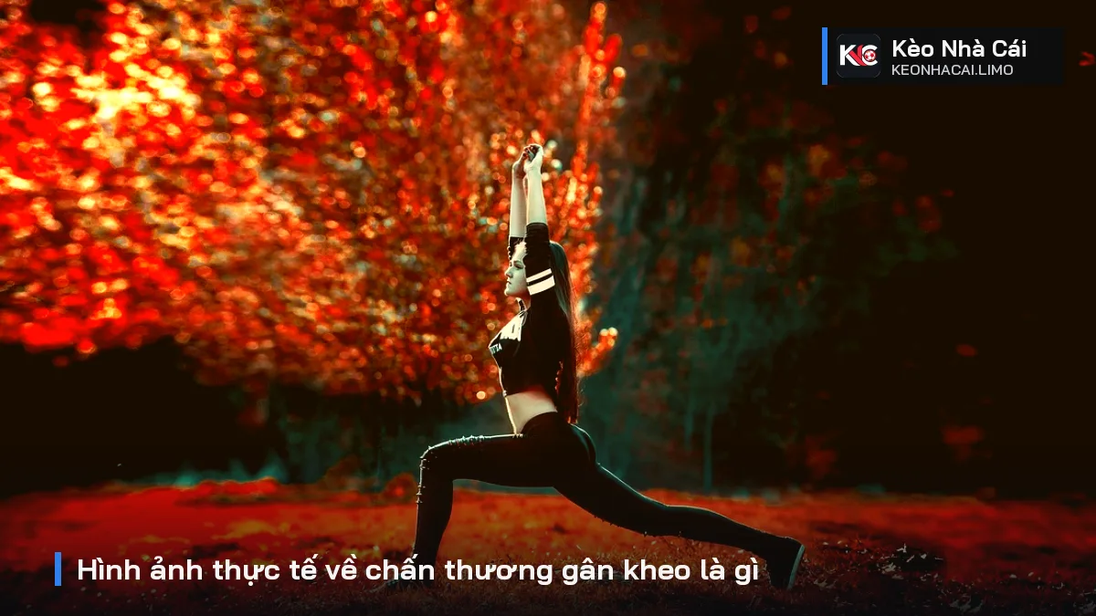 Hình ảnh thực tế về chấn thương gân kheo là gì