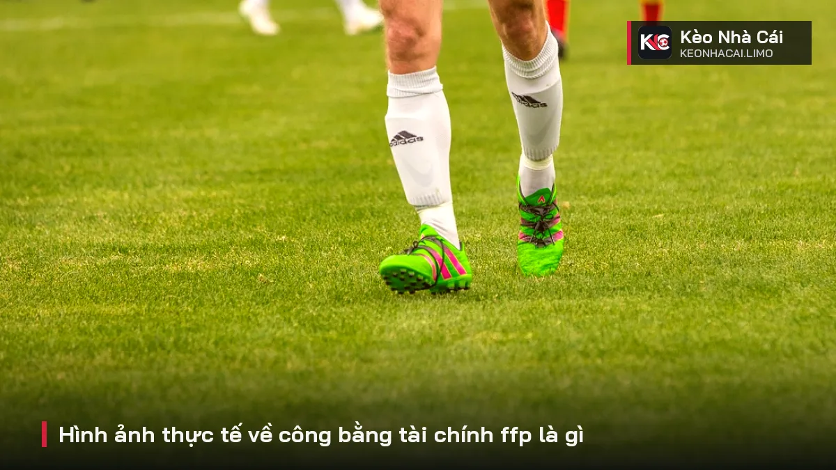 Hình ảnh thực tế về công bằng tài chính ffp là gì