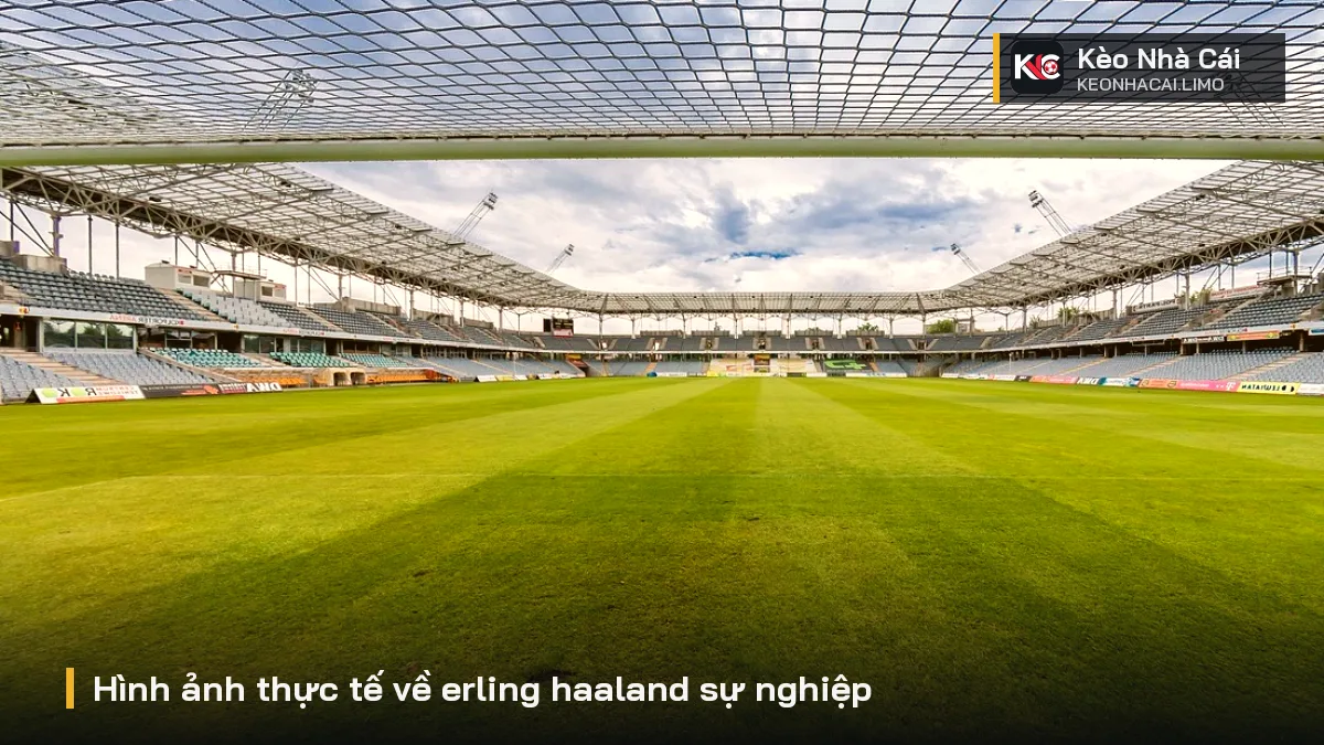 Hình ảnh thực tế về erling haaland sự nghiệp