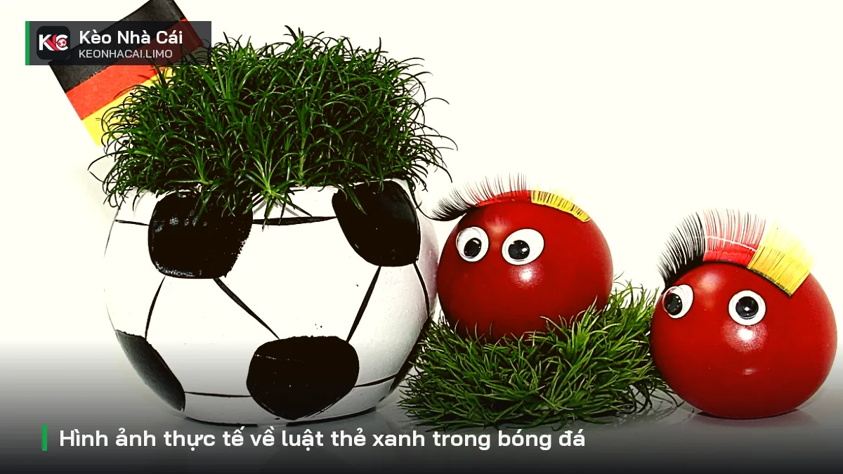 Hình ảnh thực tế về luật thẻ xanh trong bóng đá