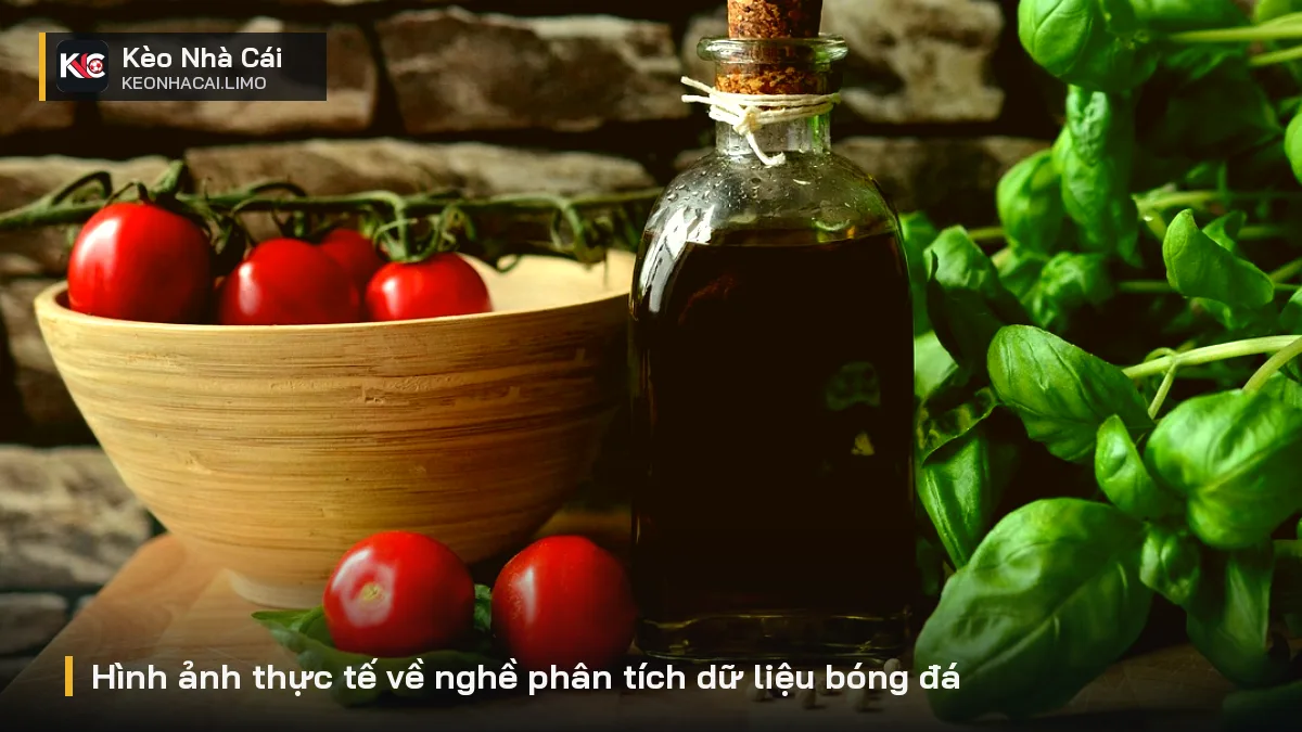 Hình ảnh thực tế về nghề phân tích dữ liệu bóng đá