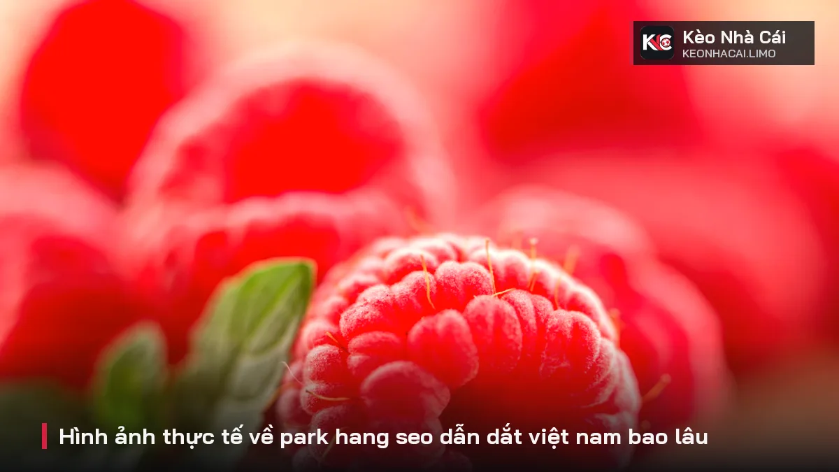 Hình ảnh thực tế về park hang seo dẫn dắt việt nam bao lâu