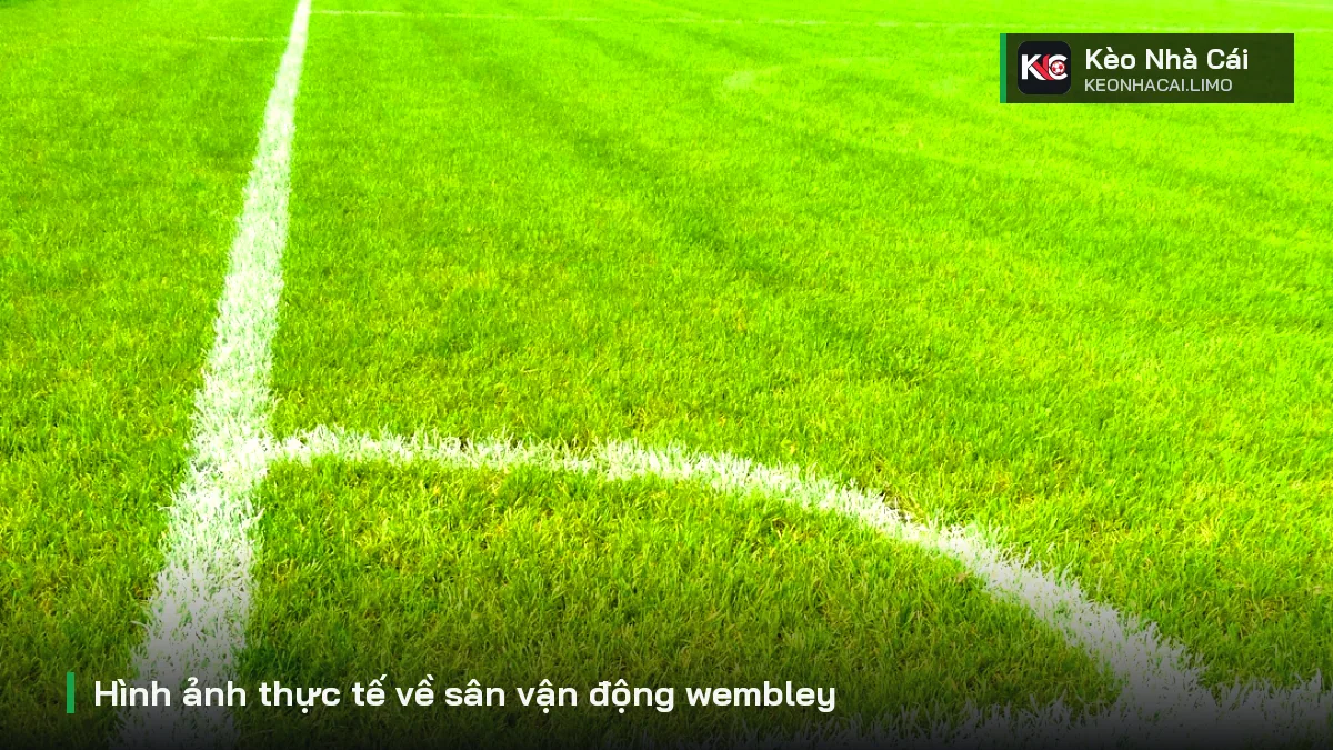 Hình ảnh thực tế về sân vận động wembley