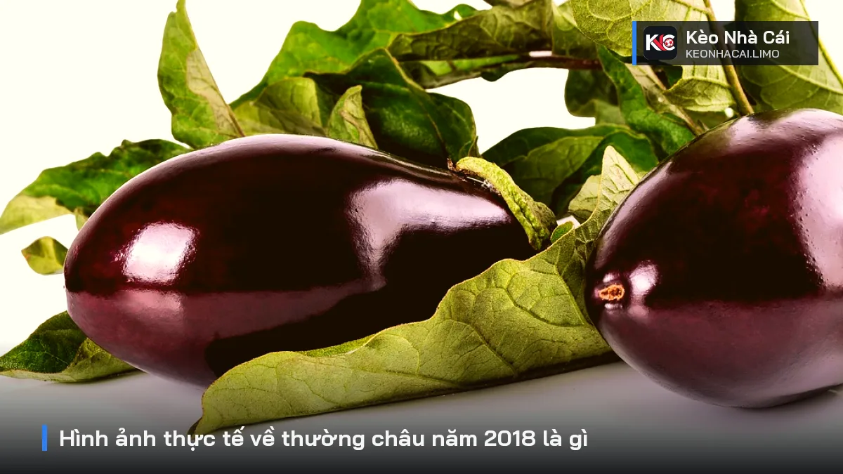 Hình ảnh thực tế về thường châu năm 2018 là gì