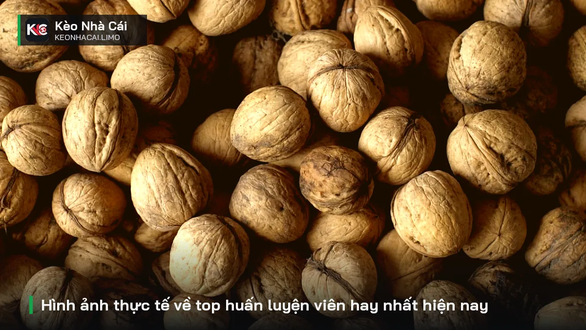 Hình ảnh thực tế về top huấn luyện viên hay nhất hiện nay