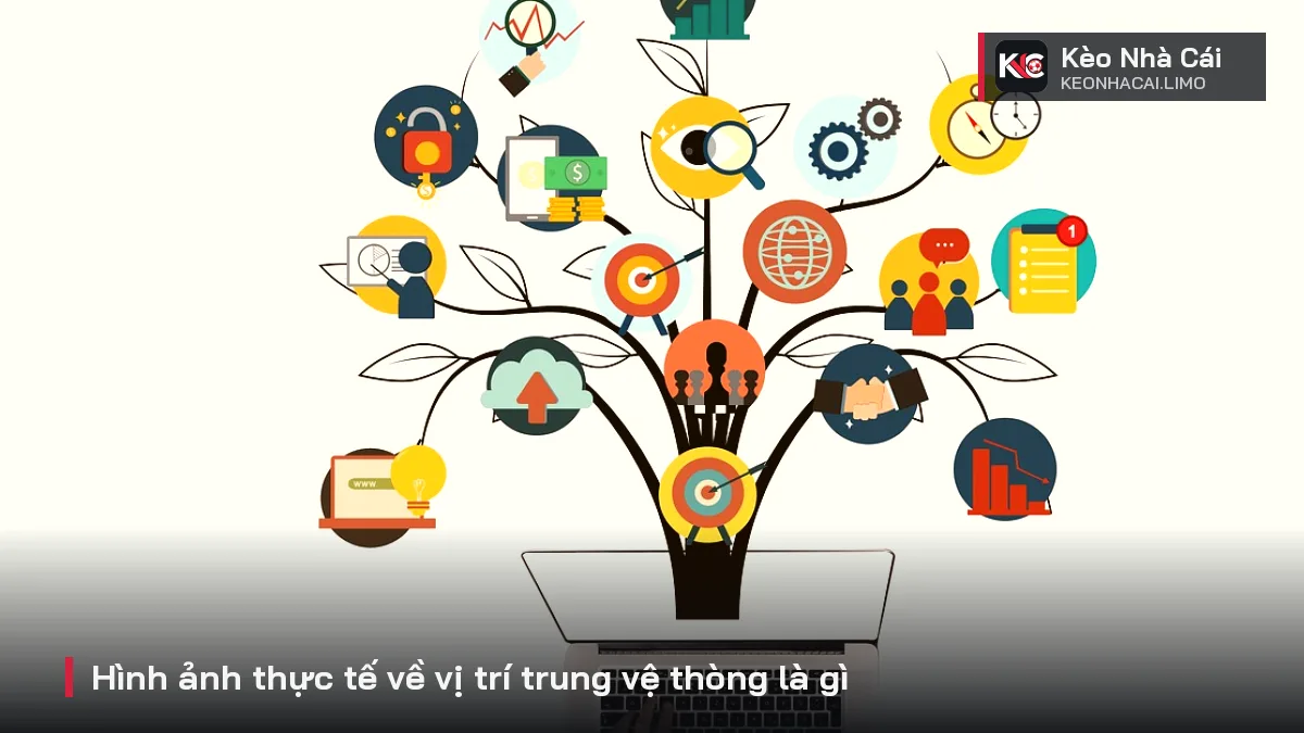 Hình ảnh thực tế về vị trí trung vệ thòng là gì