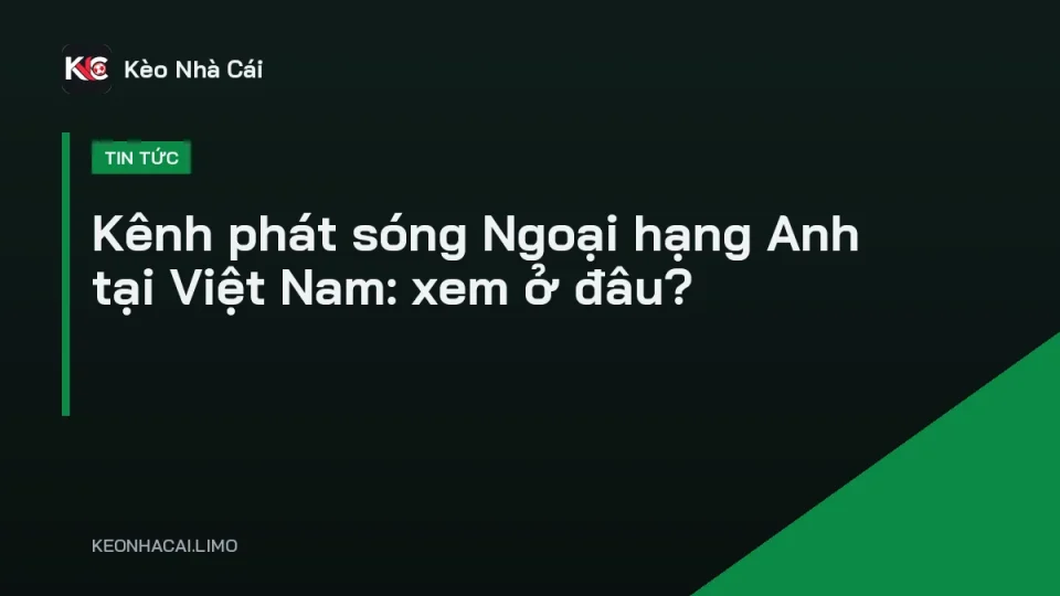 Người hâm mộ xem trực tiếp Ngoại hạng Anh trên tivi tại Việt Nam