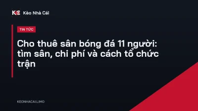 Cho thuê sân bóng đá 11 người: tìm sân, chi phí và cách tổ chức trận