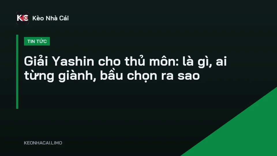 Thủ môn bay người cản phá bóng, minh hoạ giải Yashin cho thủ môn xuất sắc nhất năm