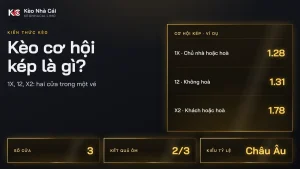 Kèo cơ hội kép là gì? Cách tính 1X, 12, X2 cho người mới
