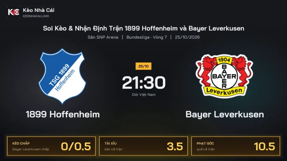 Soi kèo 1899 Hoffenheim vs Bayer Leverkusen 21h30 ngày 25/10 Giải Bundesliga 2026/27 Vòng 7