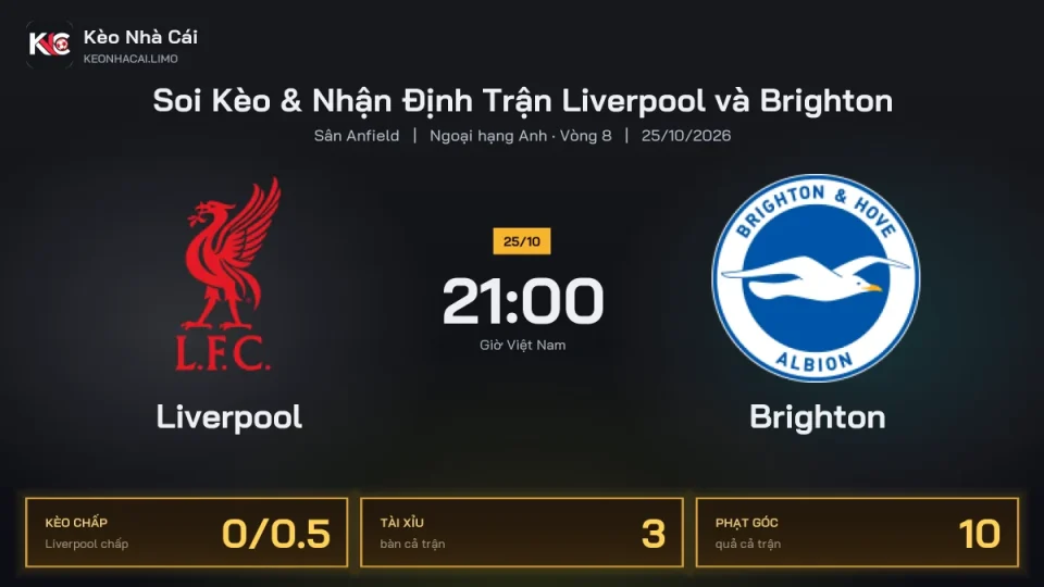 Soi kèo Liverpool vs Brighton 21h00 ngày 25/10 Giải Ngoại Hạng Anh 2026/27 Vòng 8