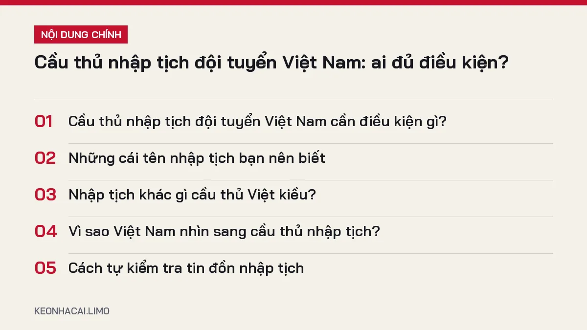 Tóm tắt nội dung cầu thủ nhập tịch đội tuyển việt nam, 5 ý chính cần biết