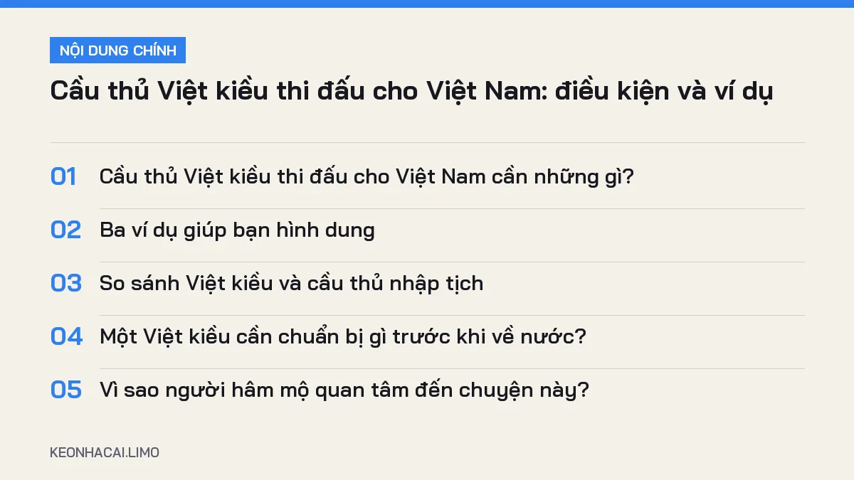 Tóm tắt nội dung cầu thủ việt kiều thi đấu cho việt nam, 5 ý chính cần biết