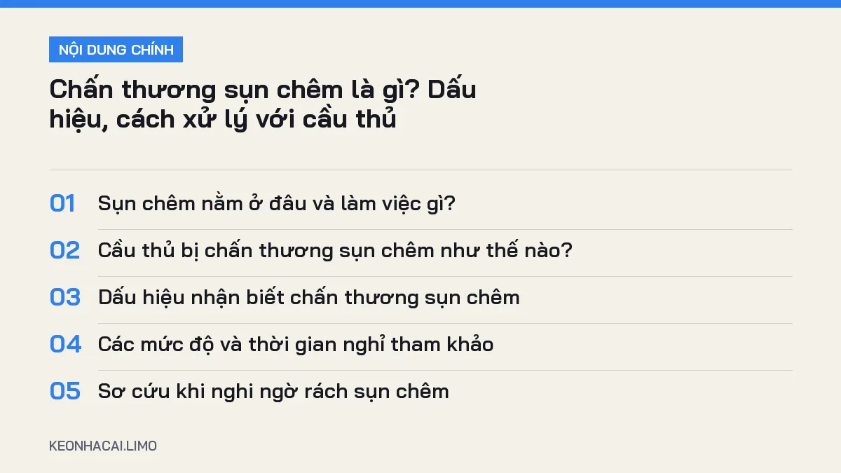 Tóm tắt nội dung chấn thương sụn chêm là gì, 5 ý chính cần biết