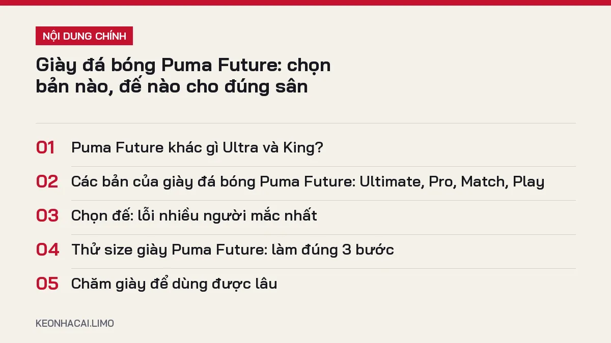 Tóm tắt nội dung giày đá bóng puma future, 5 ý chính cần biết