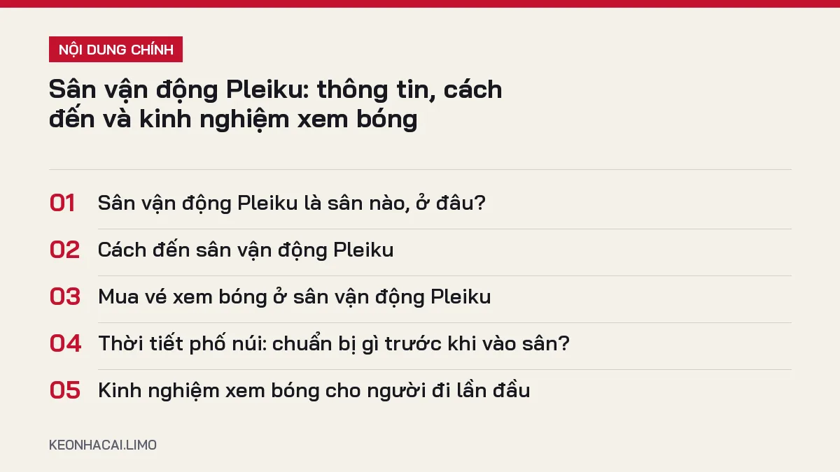 Tóm tắt nội dung sân vận động pleiku, 5 ý chính cần biết
