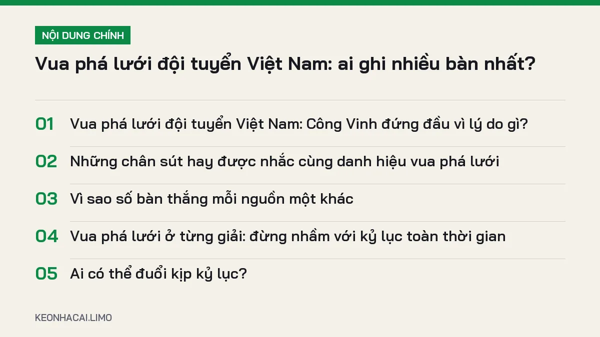 Tóm tắt nội dung vua phá lưới đội tuyển việt nam, 5 ý chính cần biết